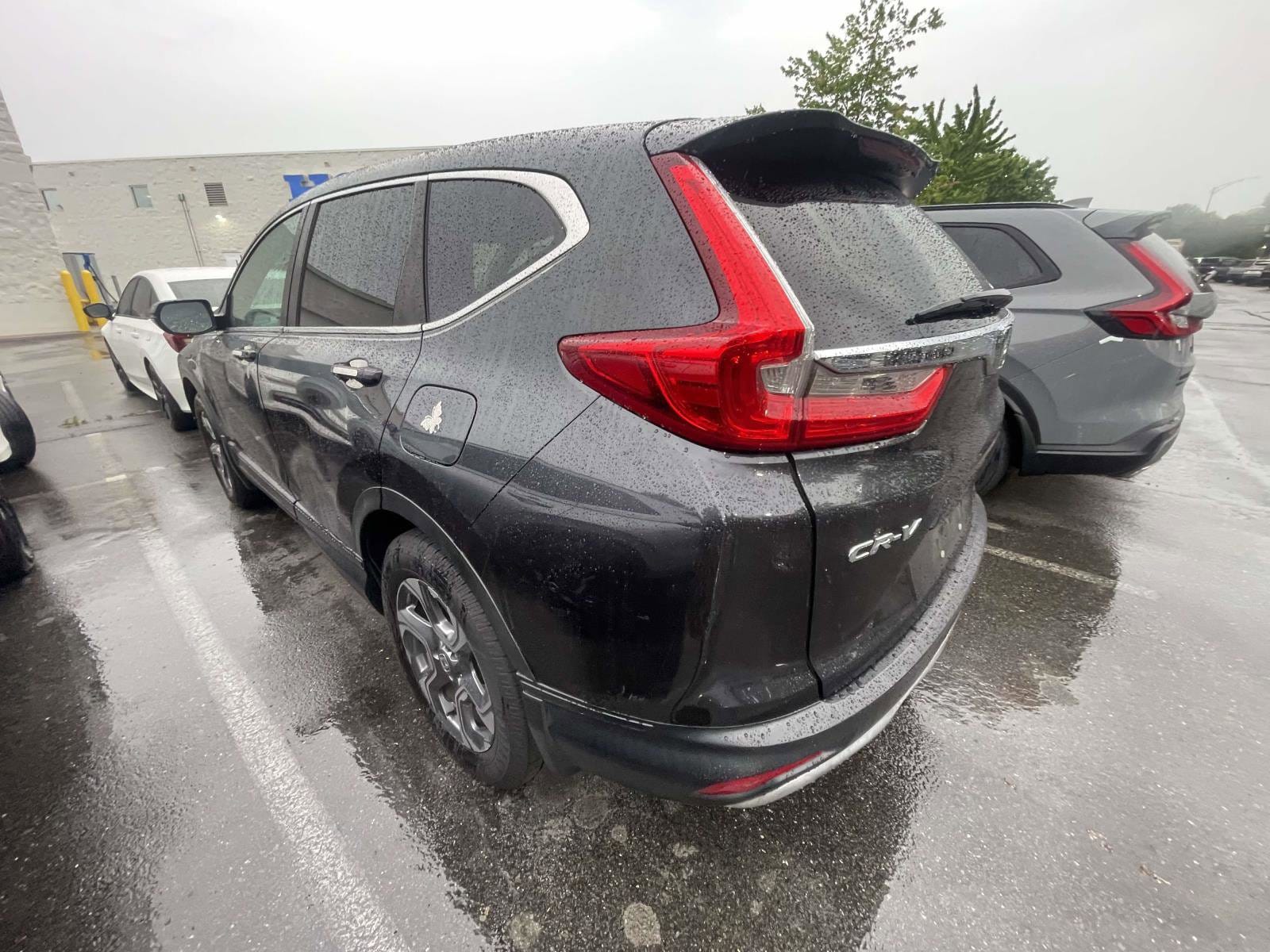 2019 Honda CR-V EX-L photo 5