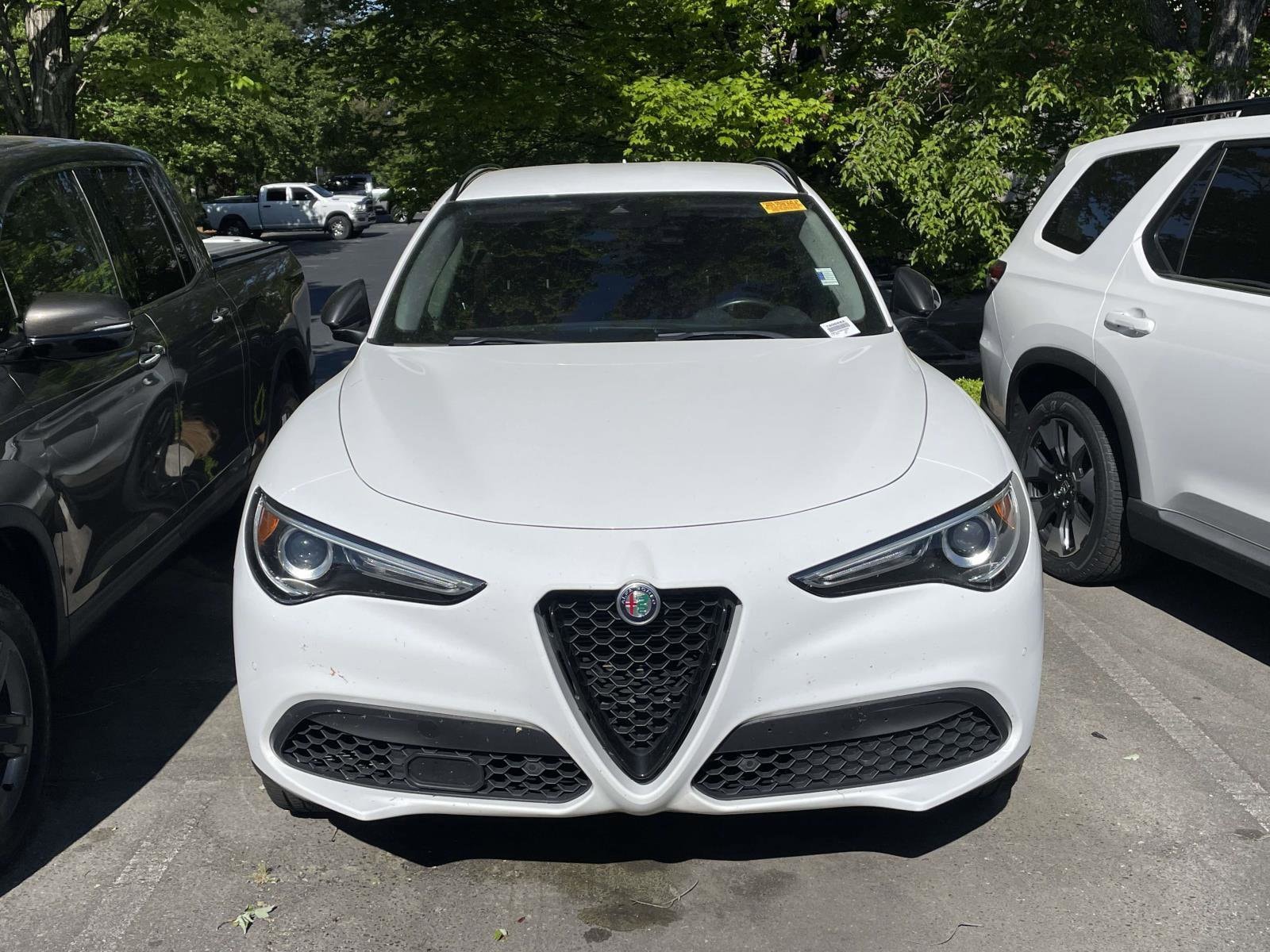 2021 Alfa Romeo Stelvio photo 2