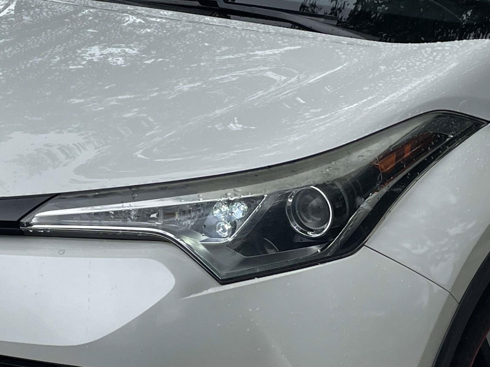 Toyota C-HR XLE
