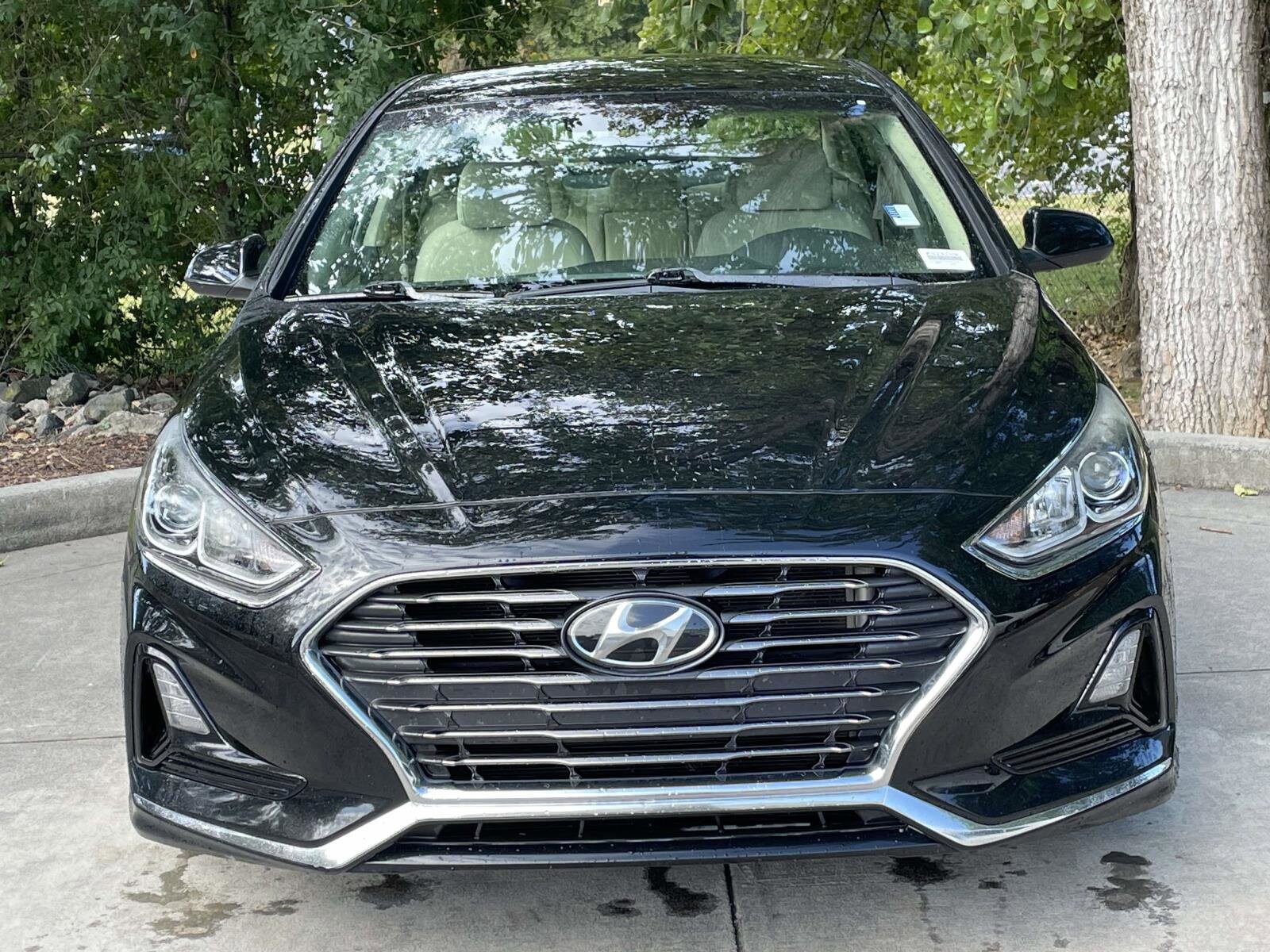 2019 Hyundai Sonata SE photo 3