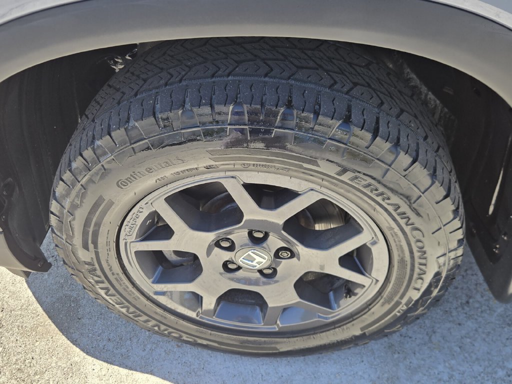2025 Honda Pilot TrailSport - Photo 10