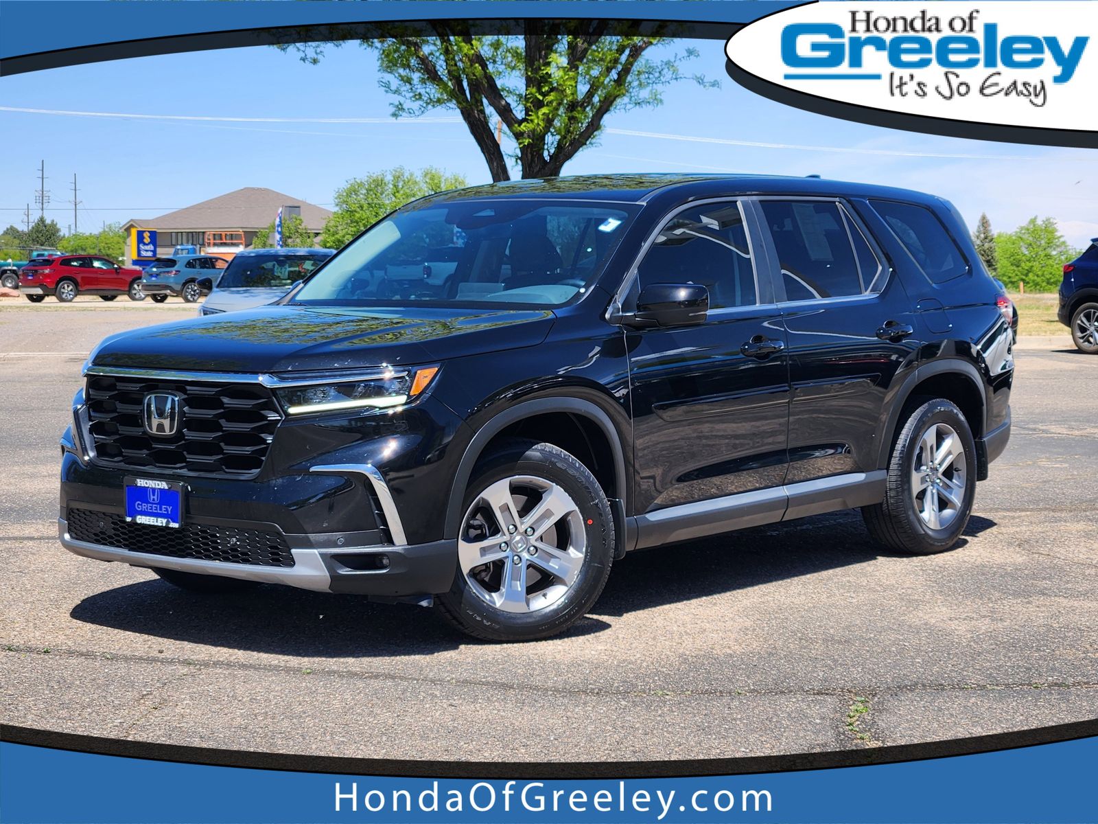 2025 Honda Pilot EX-L AWD's photo
