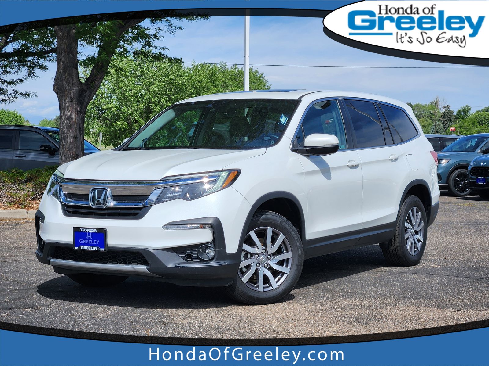 2022 Honda Pilot EX-L AWD's photo