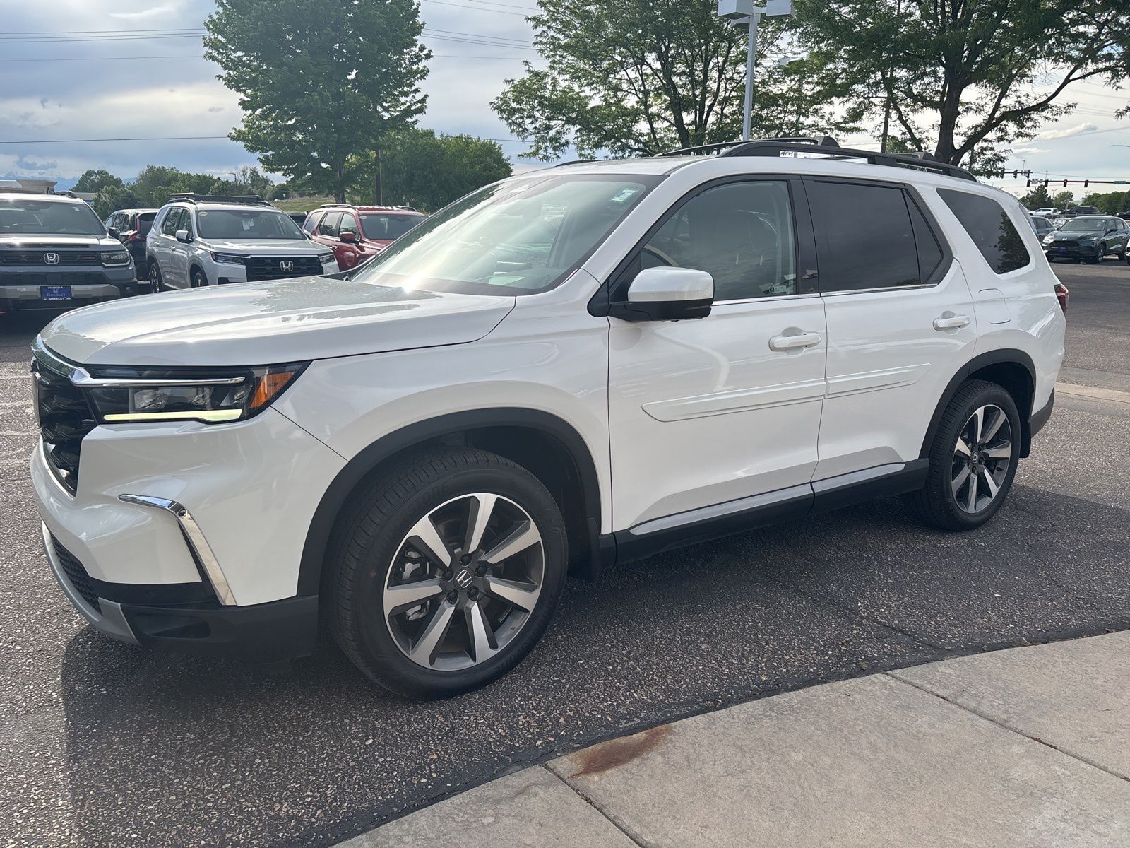 2024 Honda Pilot Elite AWD's photo