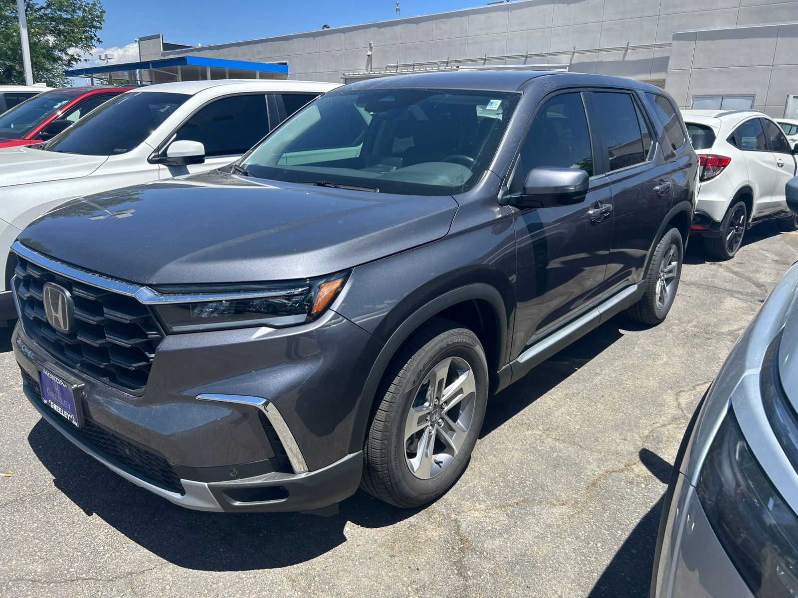 2025 Honda Pilot EX-L AWD's photo