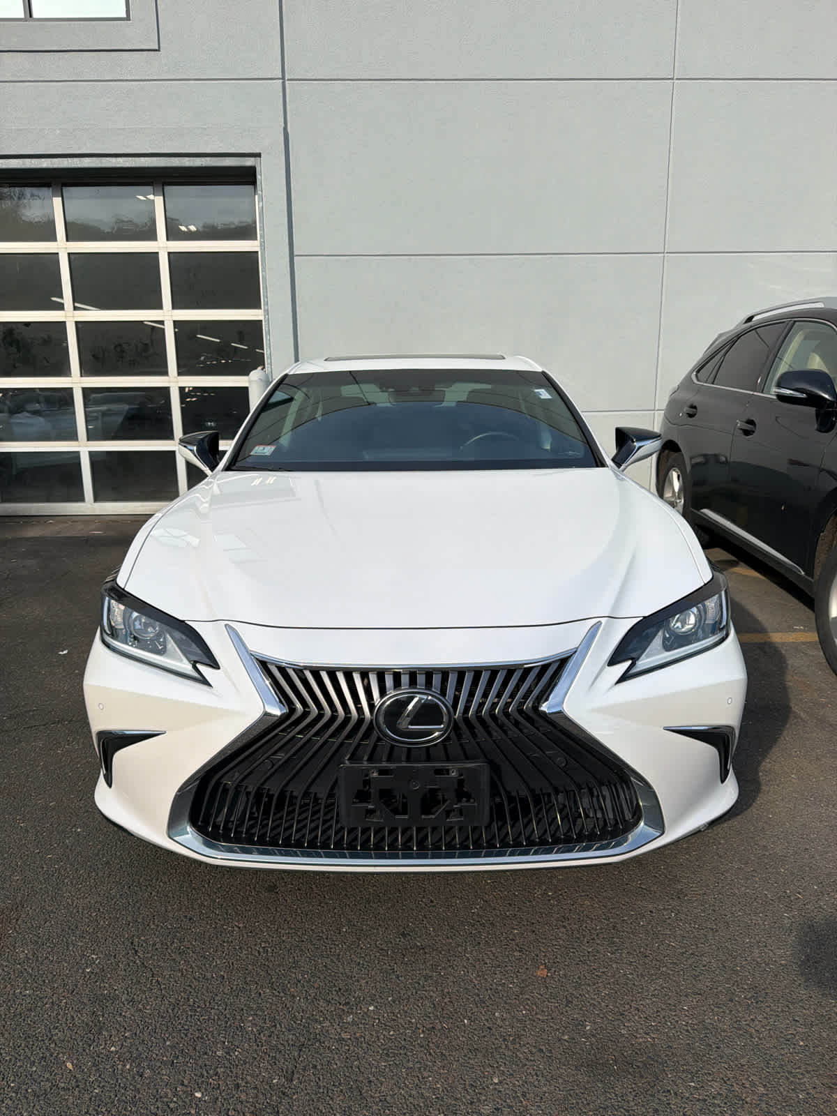 2019 Lexus ES 350 350's photo
