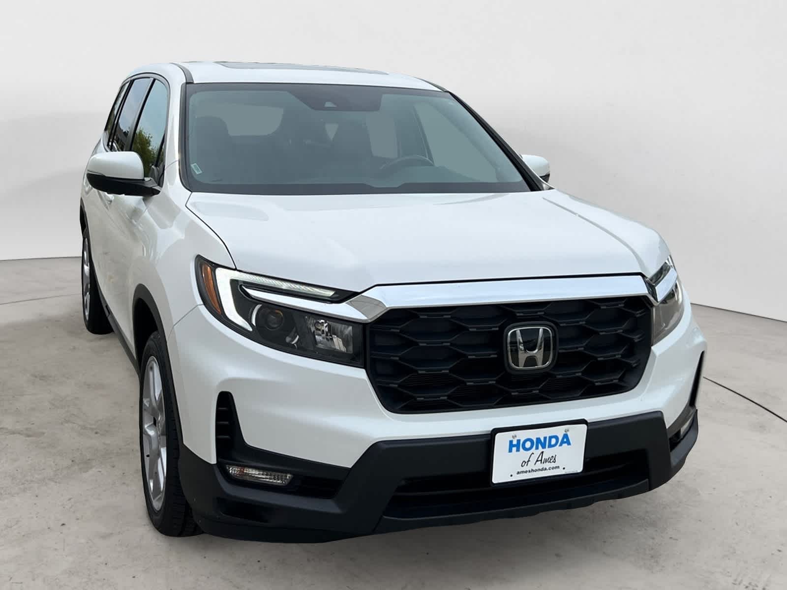 2024 Honda Passport EX-L photo 4