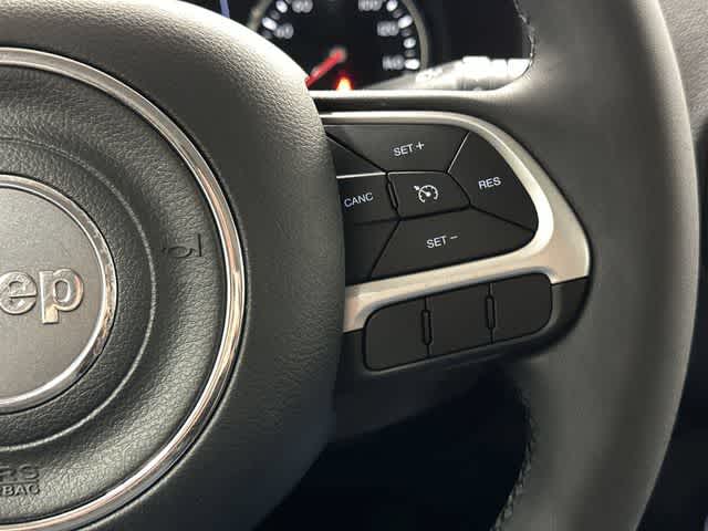 Thumbnail: 2019 Jeep Renegade - 17