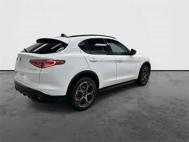 2024 Alfa Romeo Stelvio Tributo Italiano photo 4