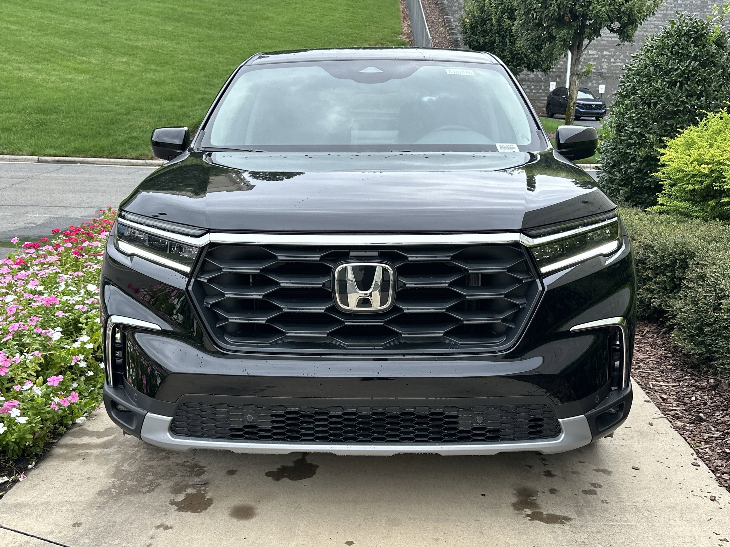 2025 Honda Pilot EX-L photo 3