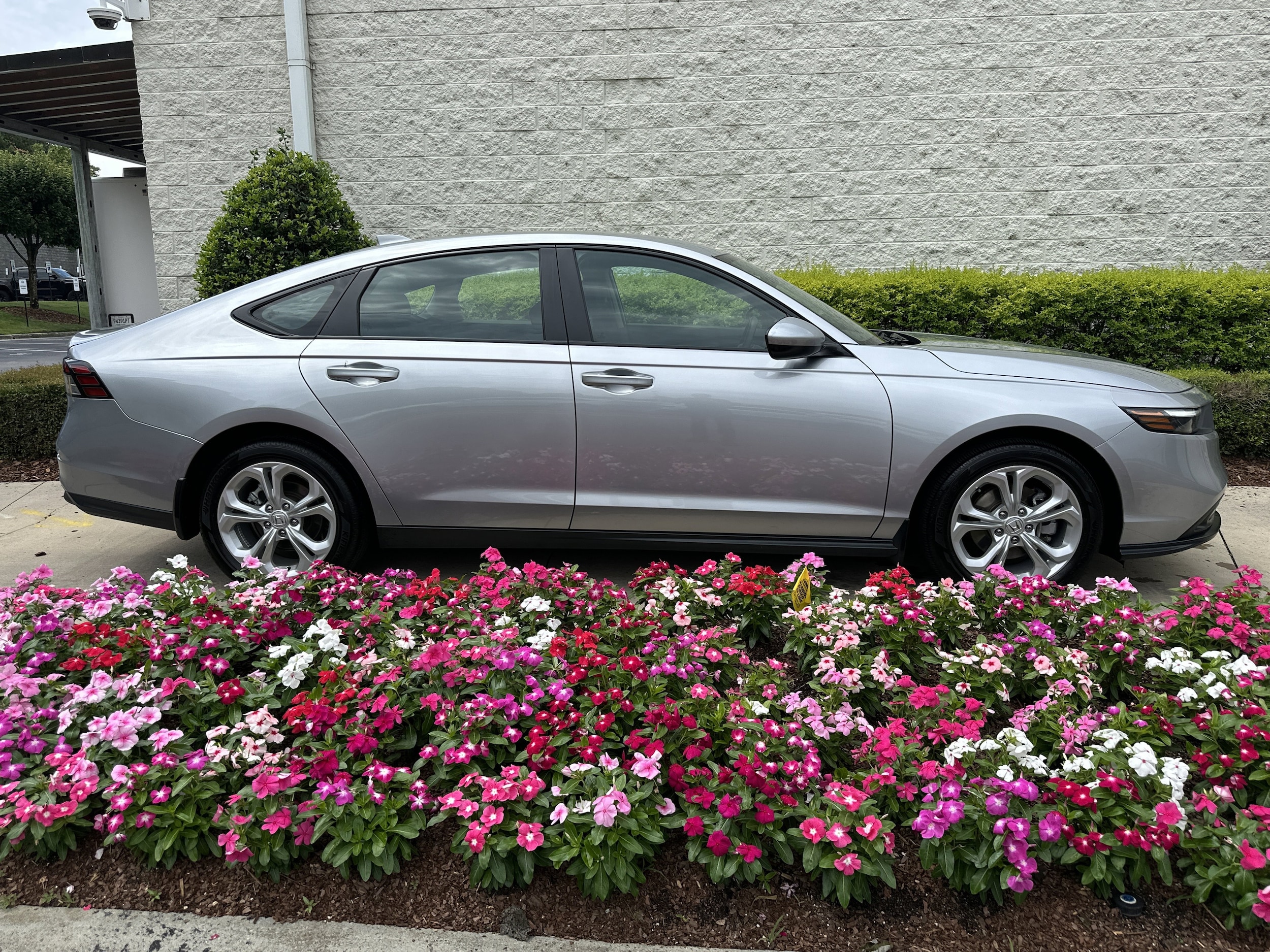 Used 2024 Honda Accord For Sale in Concord, NC VIN
