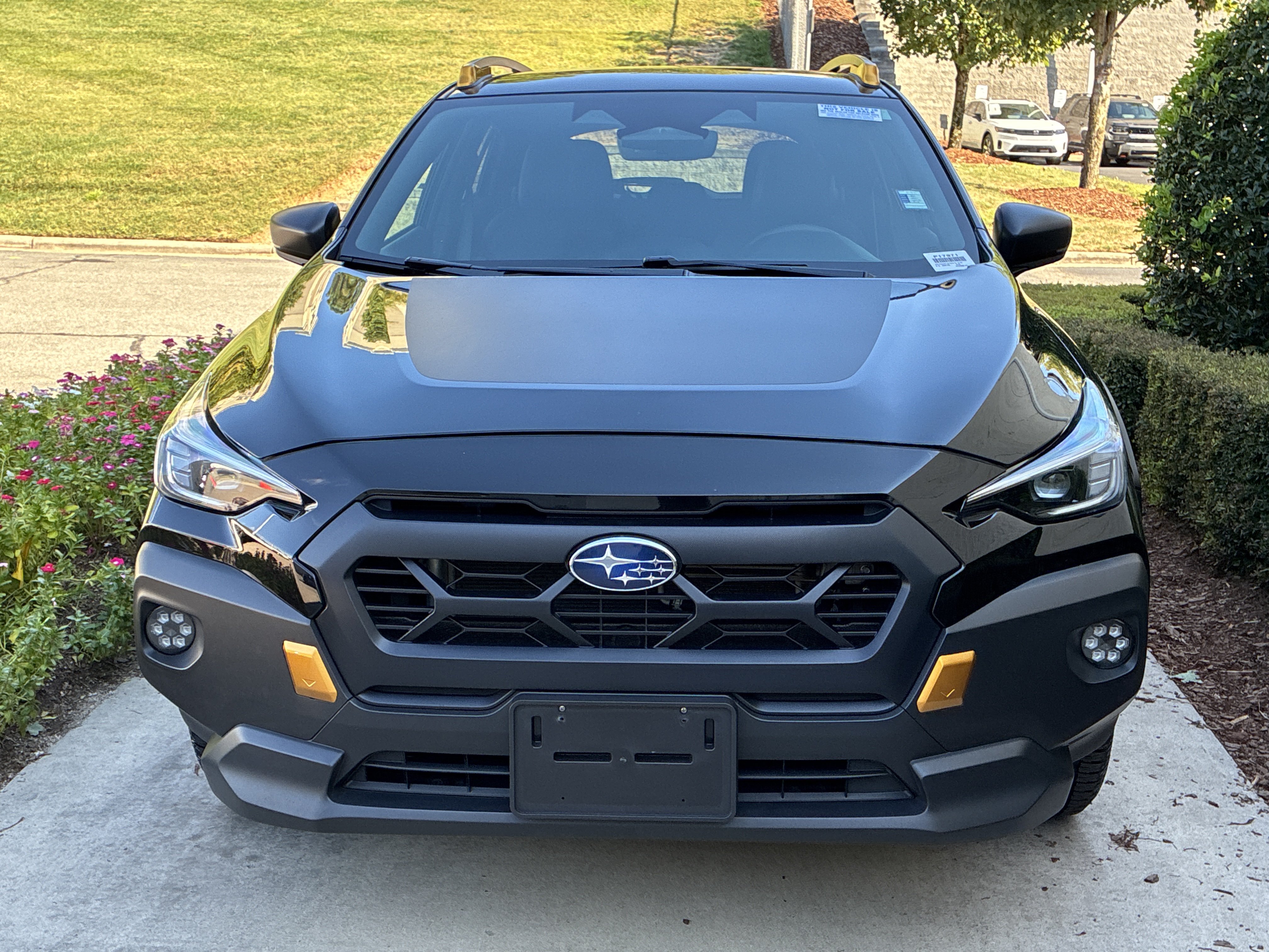 Used 2025 Subaru Crosstrek Wilderness SUV