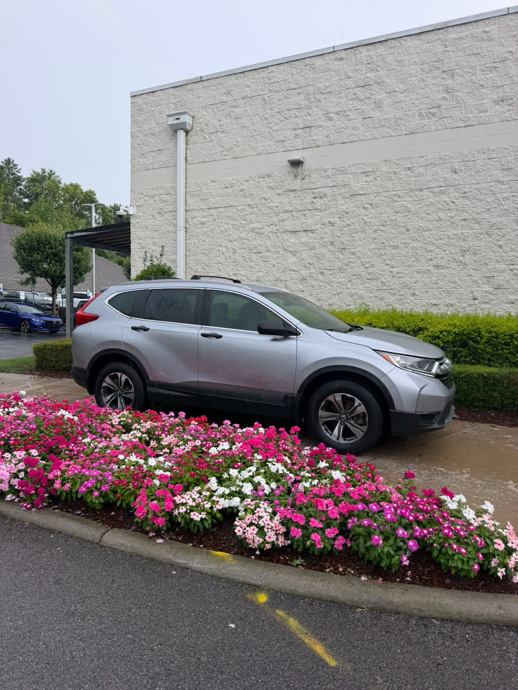 Used 2019 Honda CR-V LX SUV