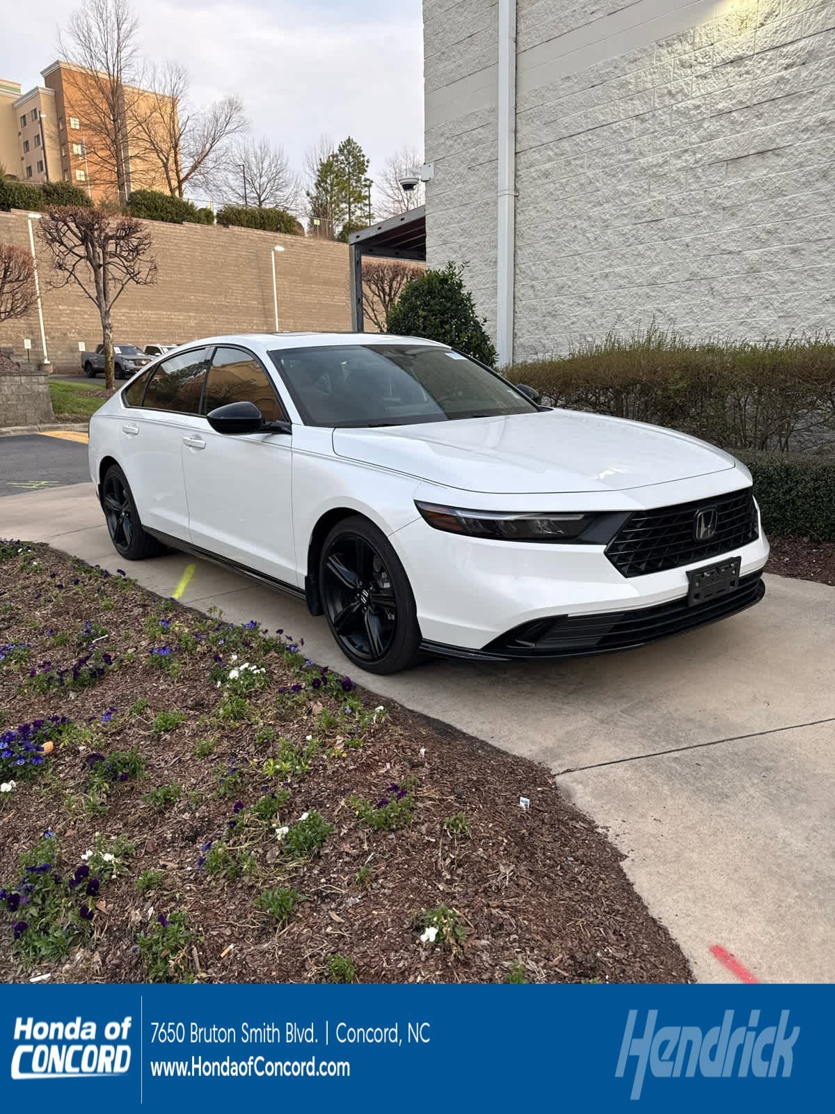 2024 Honda Accord Hybrid Sport-L