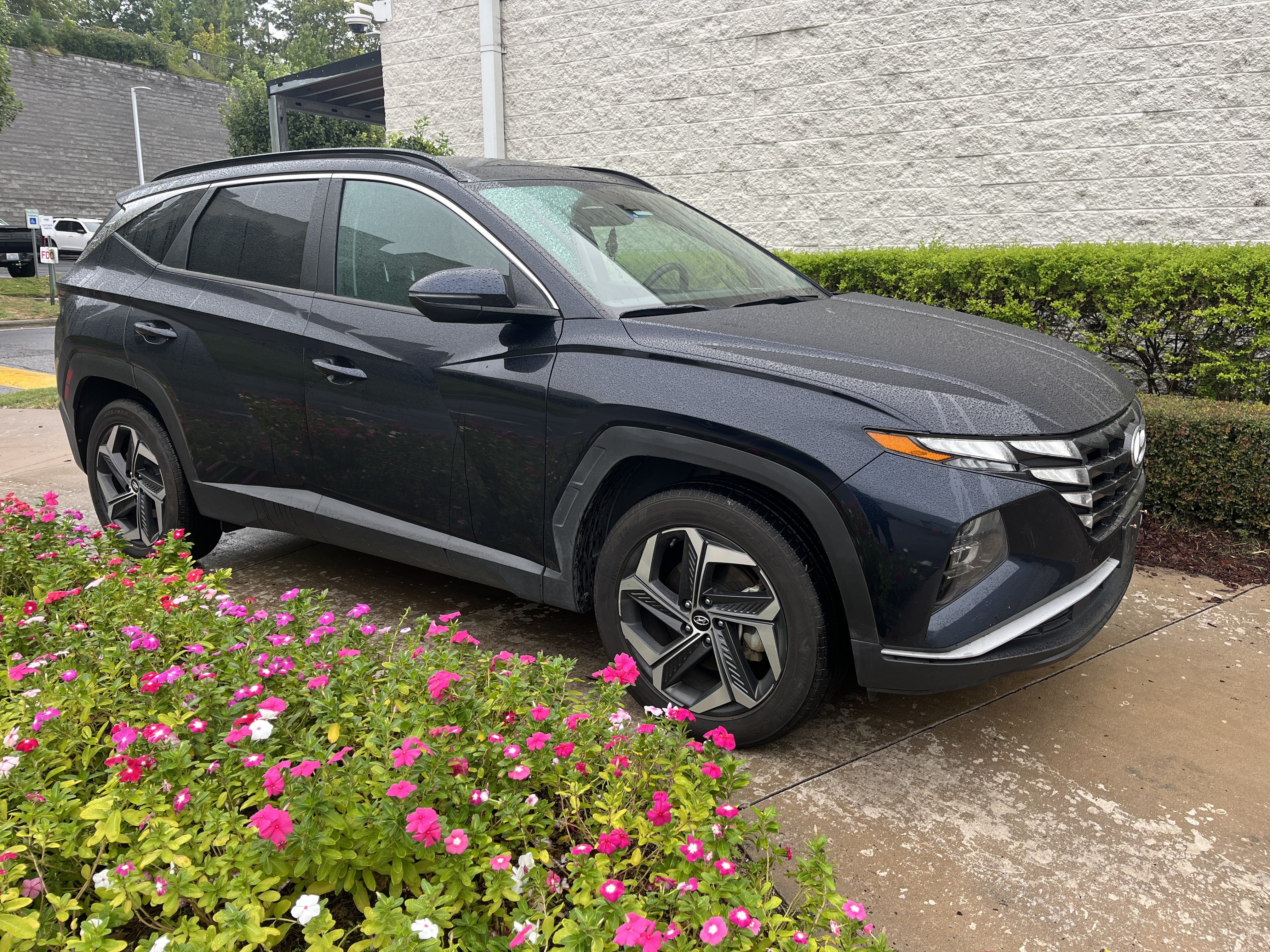 Used 2022 Hyundai Tucson Hybrid SEL Convenience SUV