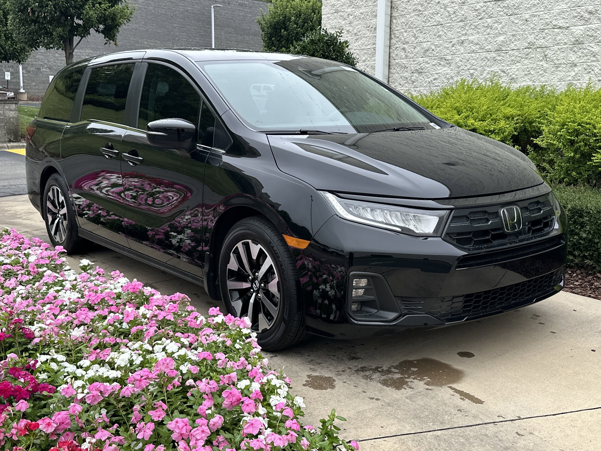 2025 Honda Odyssey EX-L photo 2