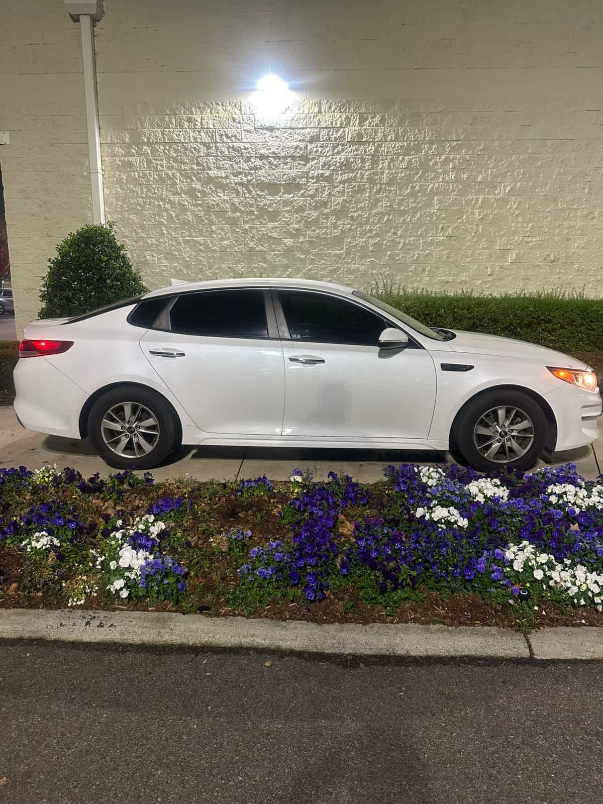 Used 2017 Kia Optima LX with VIN 5XXGT4L38HG162262 for sale in Franklin, TN