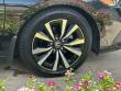2024 Honda Civic EX-L Hatchback