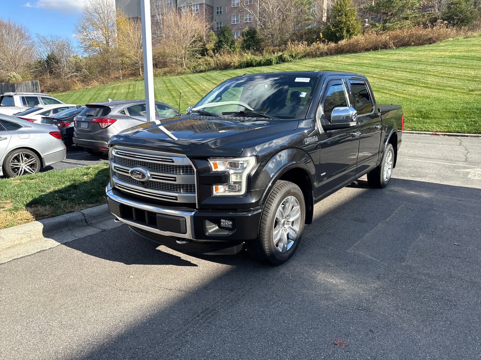 2015 Ford F-150 Platinum photo 2