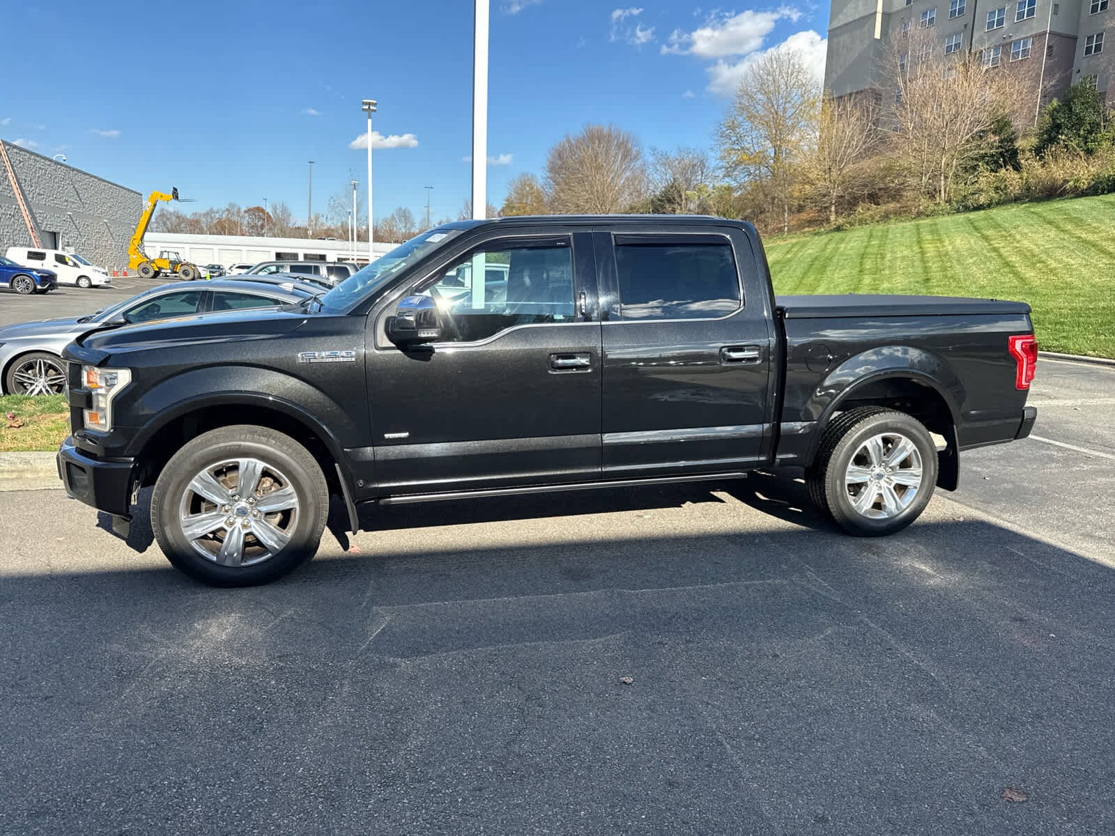 2015 Ford F-150 Platinum photo 3