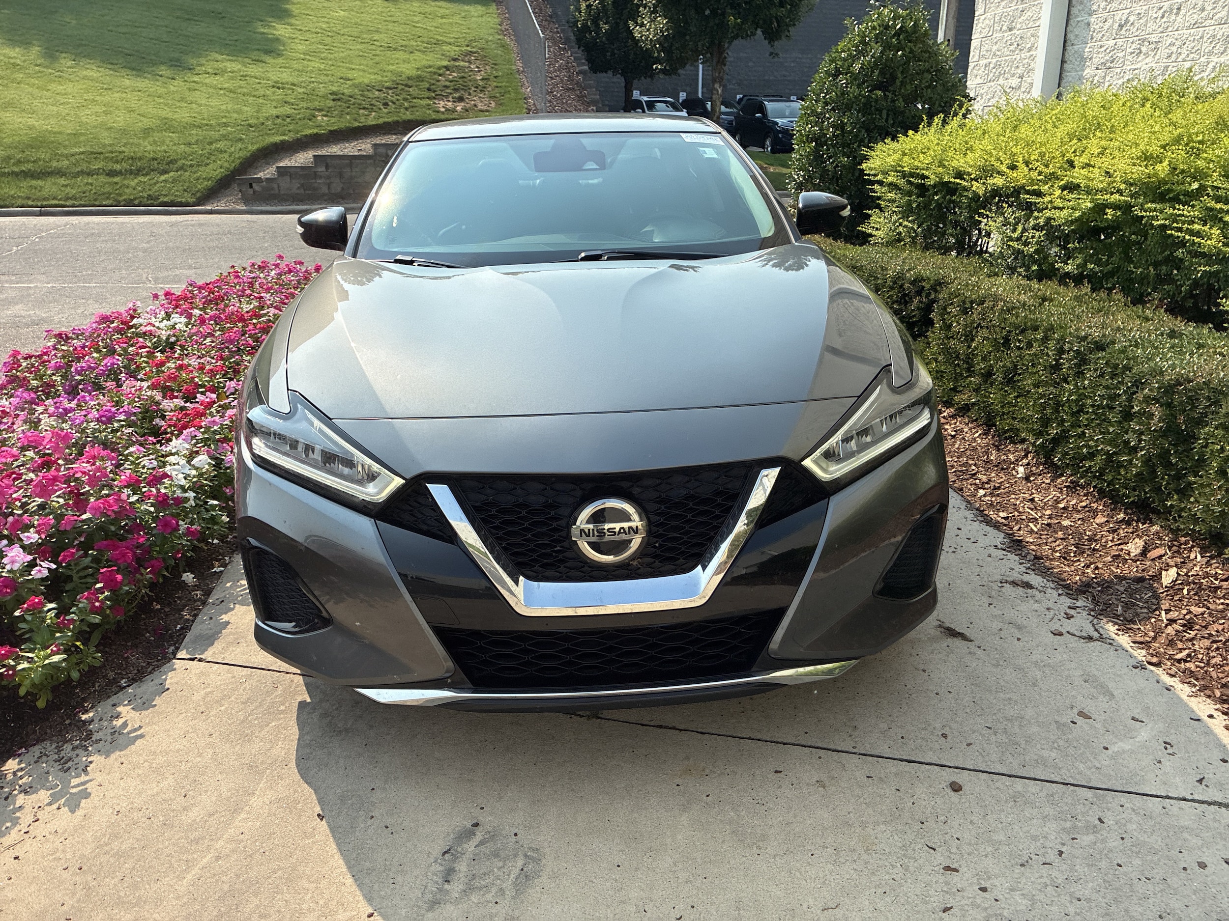 Nissan Maxima SV