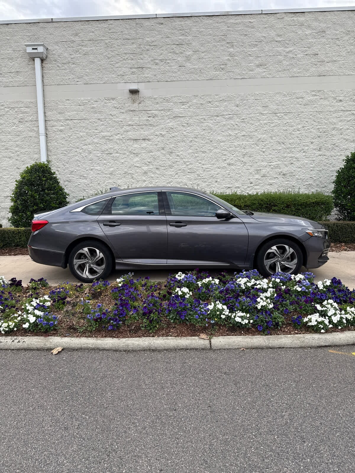 2020 Honda Accord EX photo 3