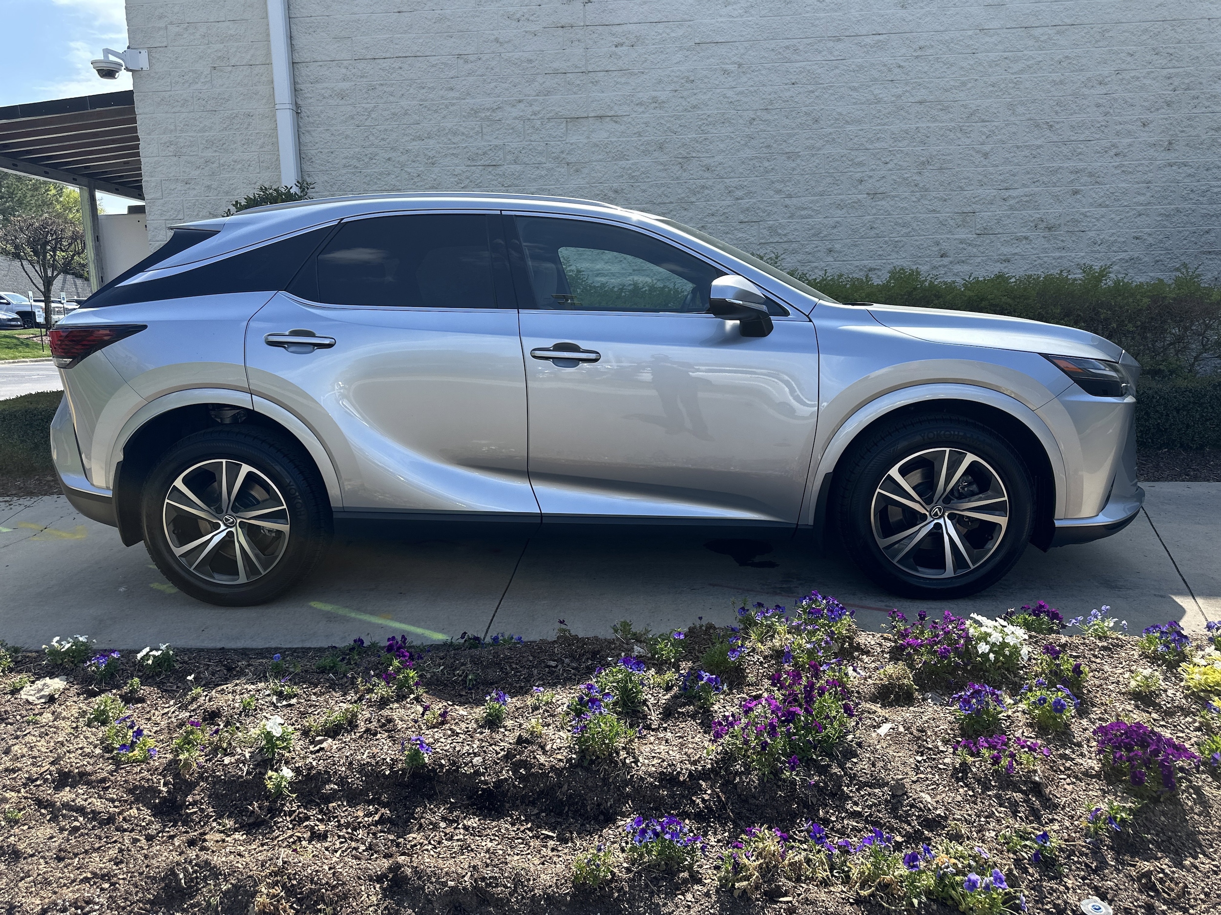 2024 LEXUS RX RX 350 Premium photo 3