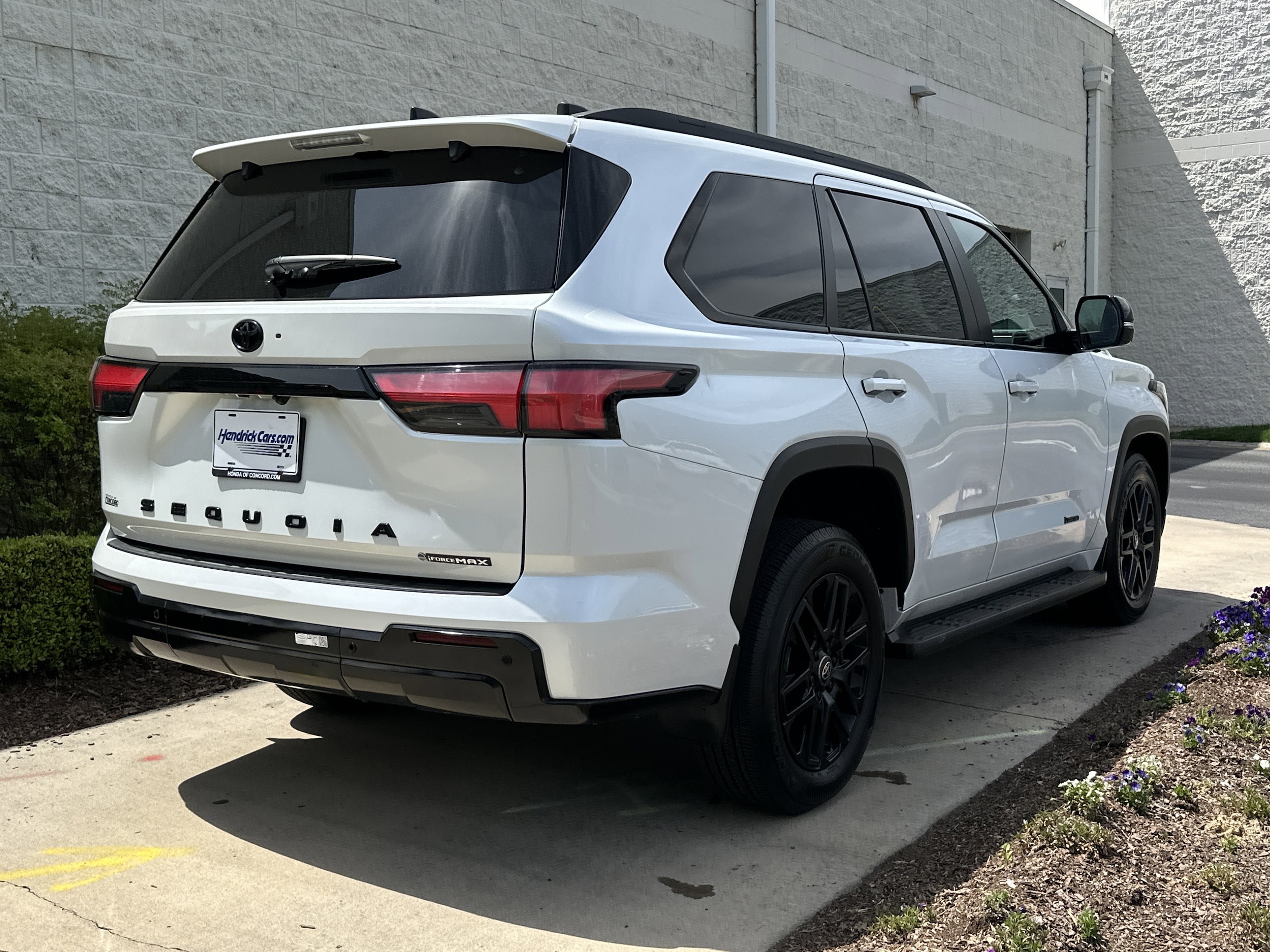 2025 Toyota Sequoia Limited photo 6