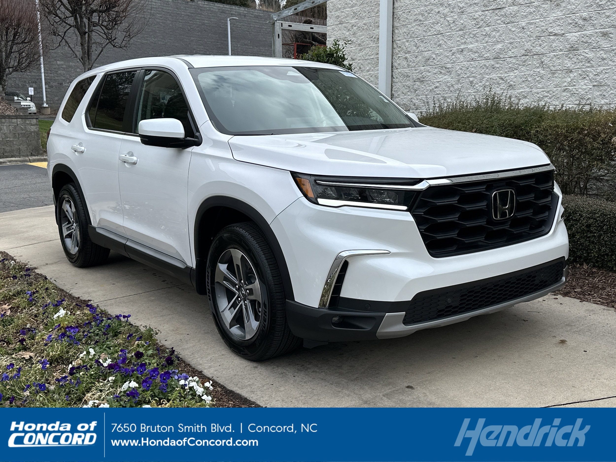 2025 Honda Pilot EX-L's photo