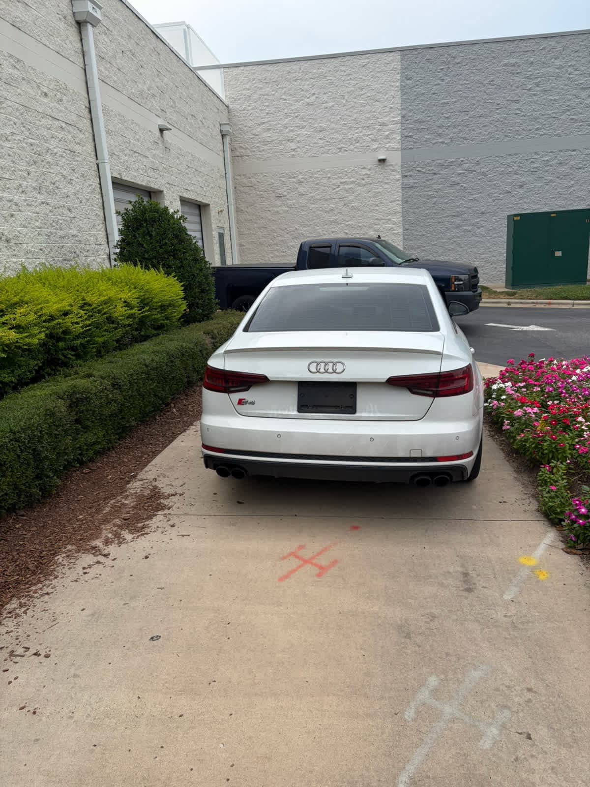 Audi S4 Premium Plus