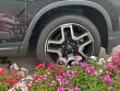 2023 Honda Passport Elite SUV