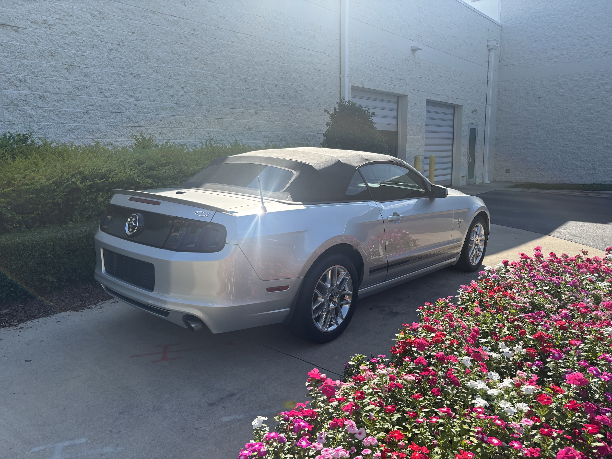 Ford Mustang V6 Premium