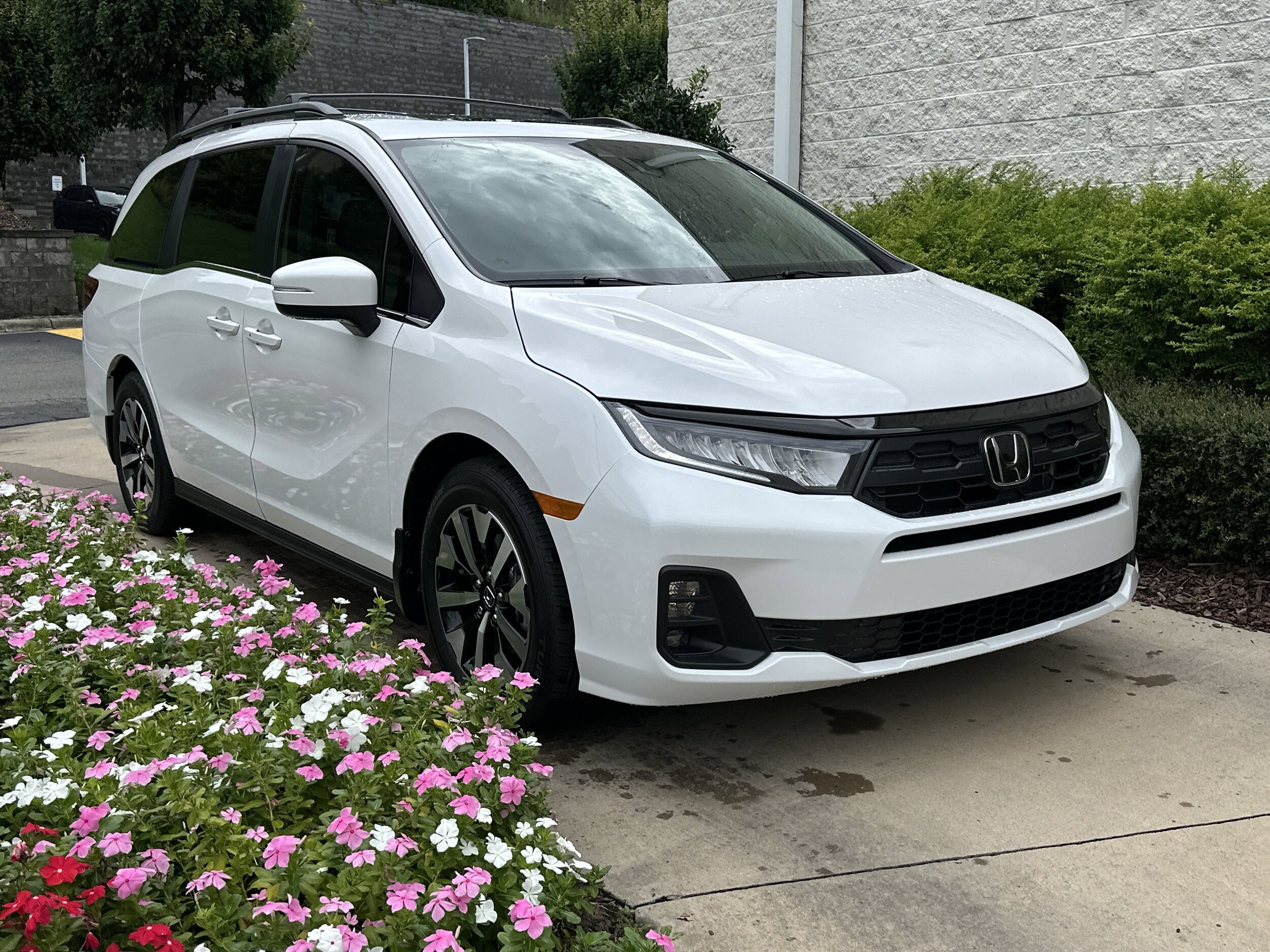 2026 Honda Odyssey EX-L photo 2