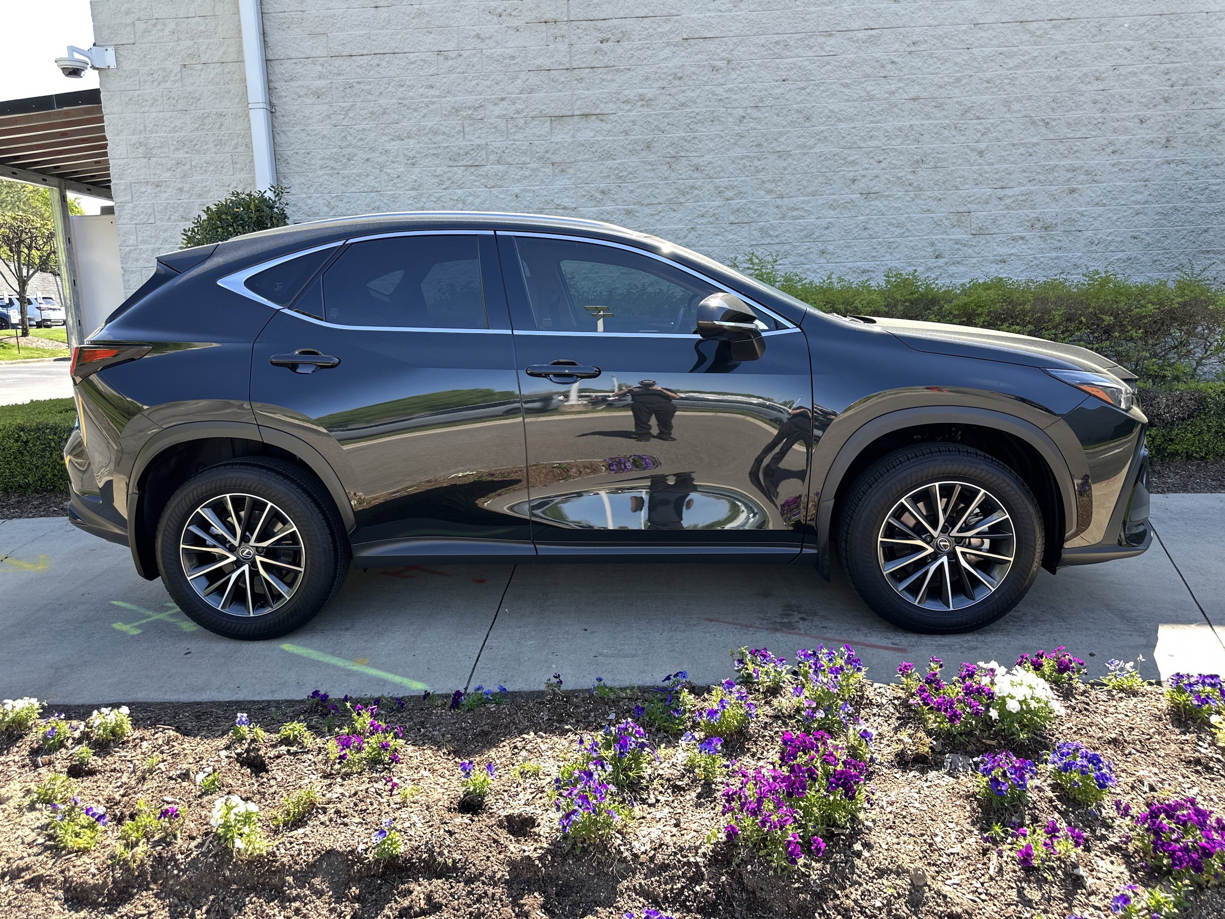 2024 LEXUS NX NX 250 photo 3
