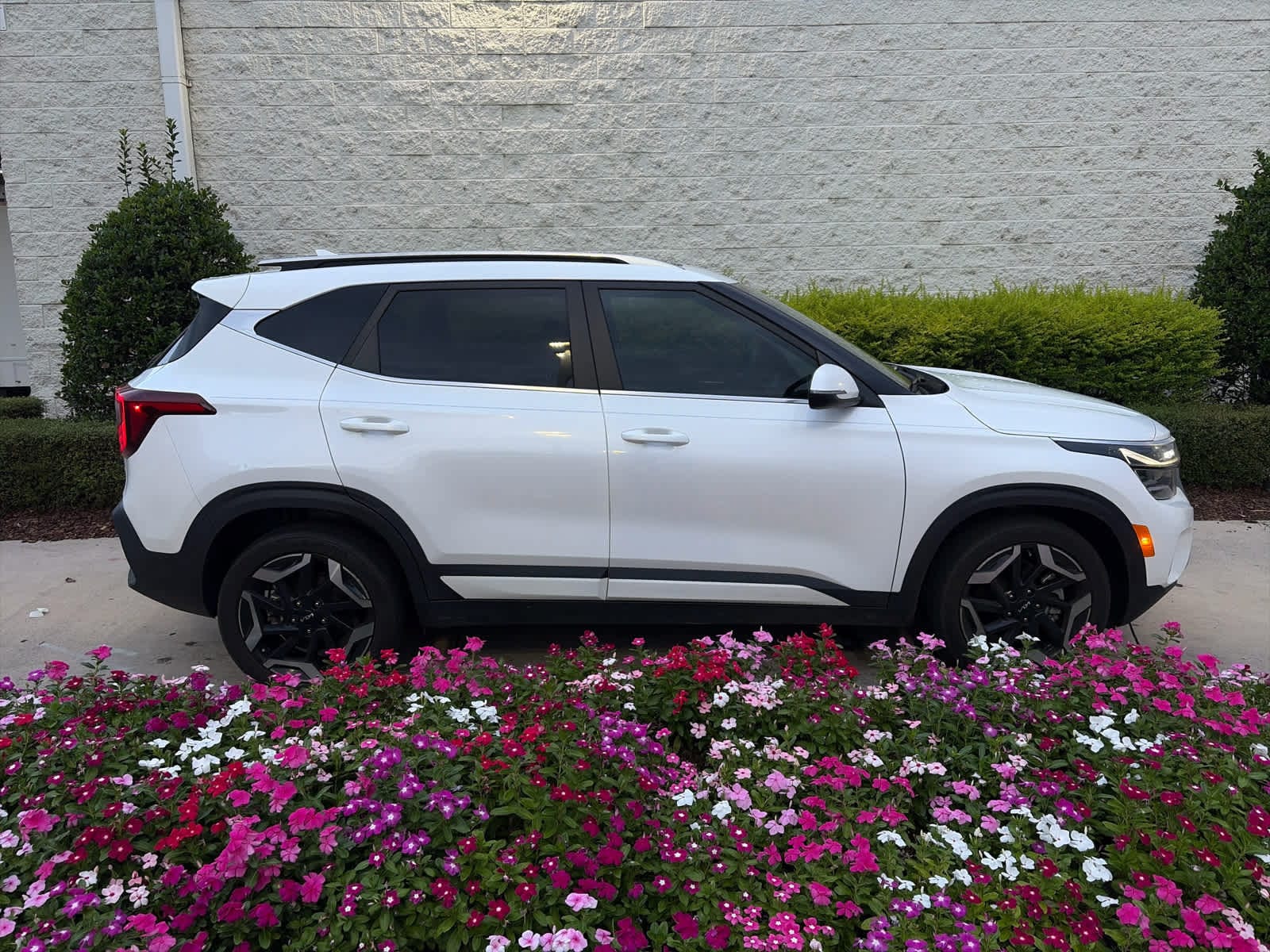 Kia Seltos SX