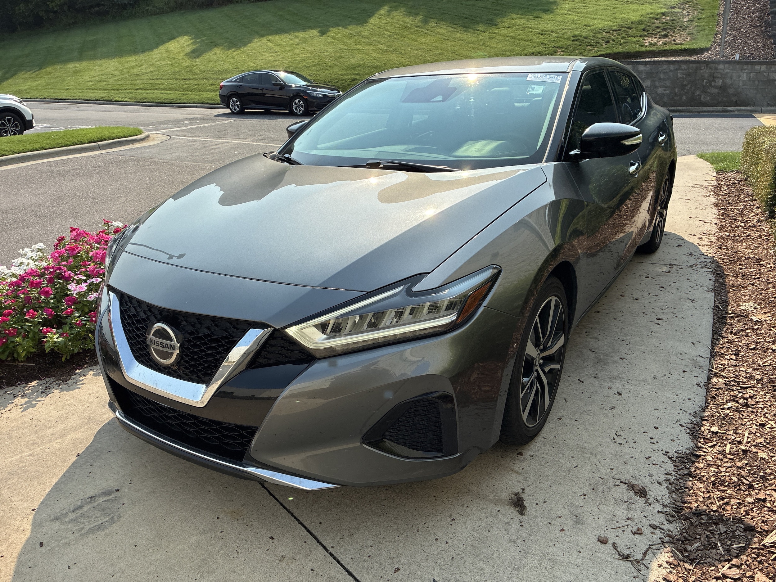 Nissan Maxima SV