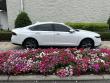 2024 Honda Accord Hybrid EX-L Sedan