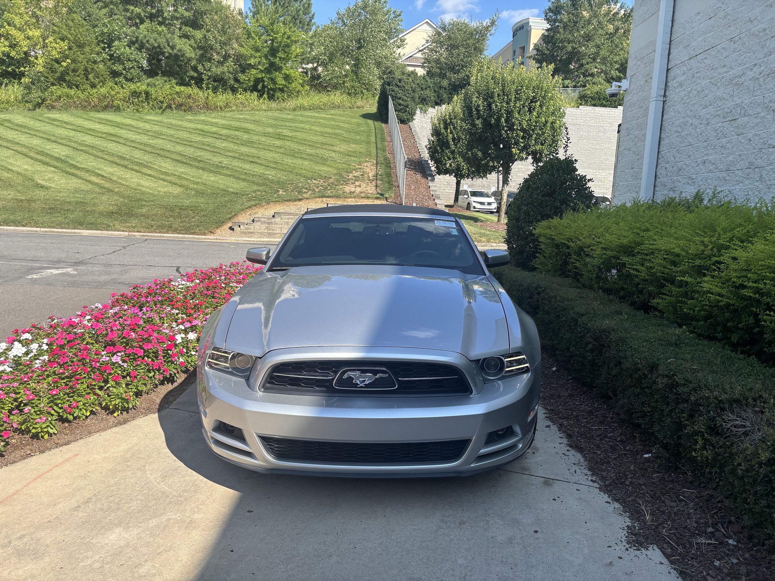 Ford Mustang V6 Premium