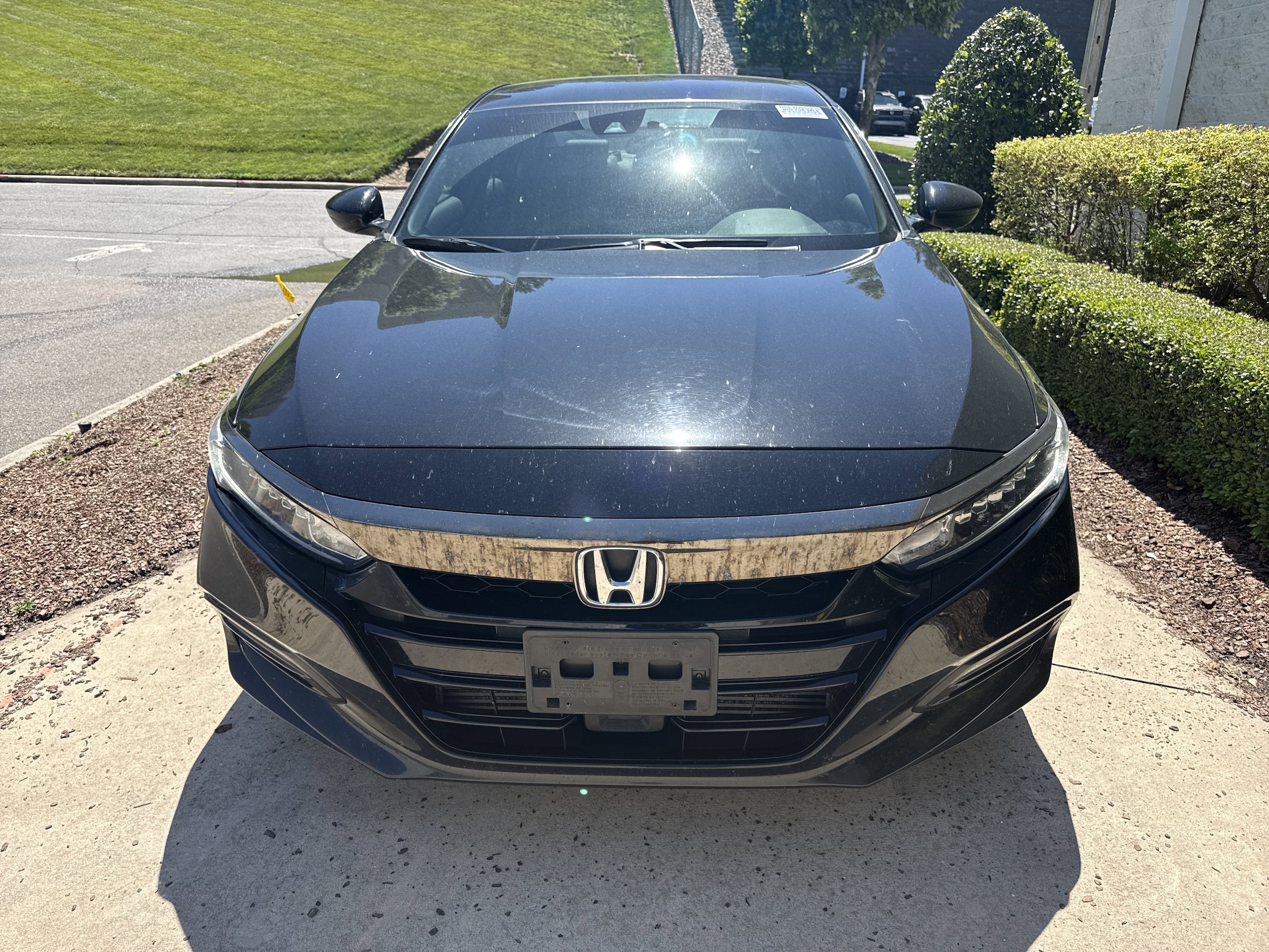 2020 Honda Accord Sport photo 3