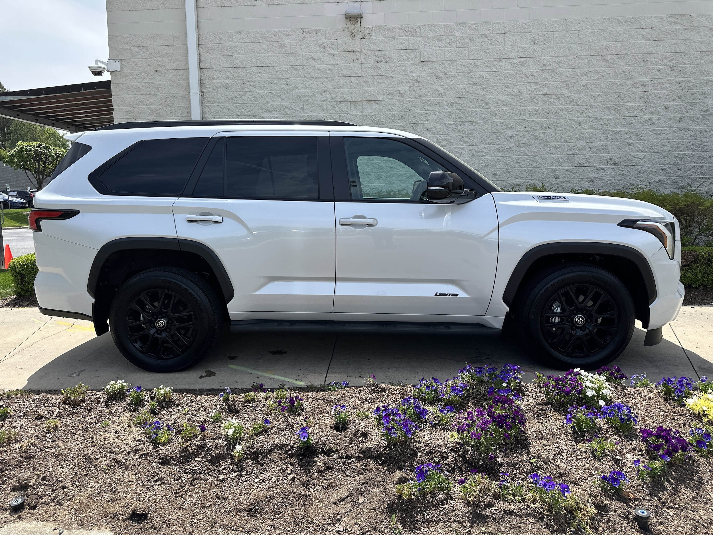 2025 Toyota Sequoia Limited photo 3