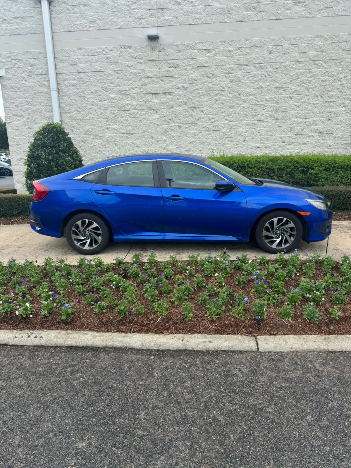 2016 Honda Civic EX photo 2