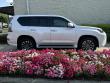 2022 LEXUS GX GX 460 Luxury SUV