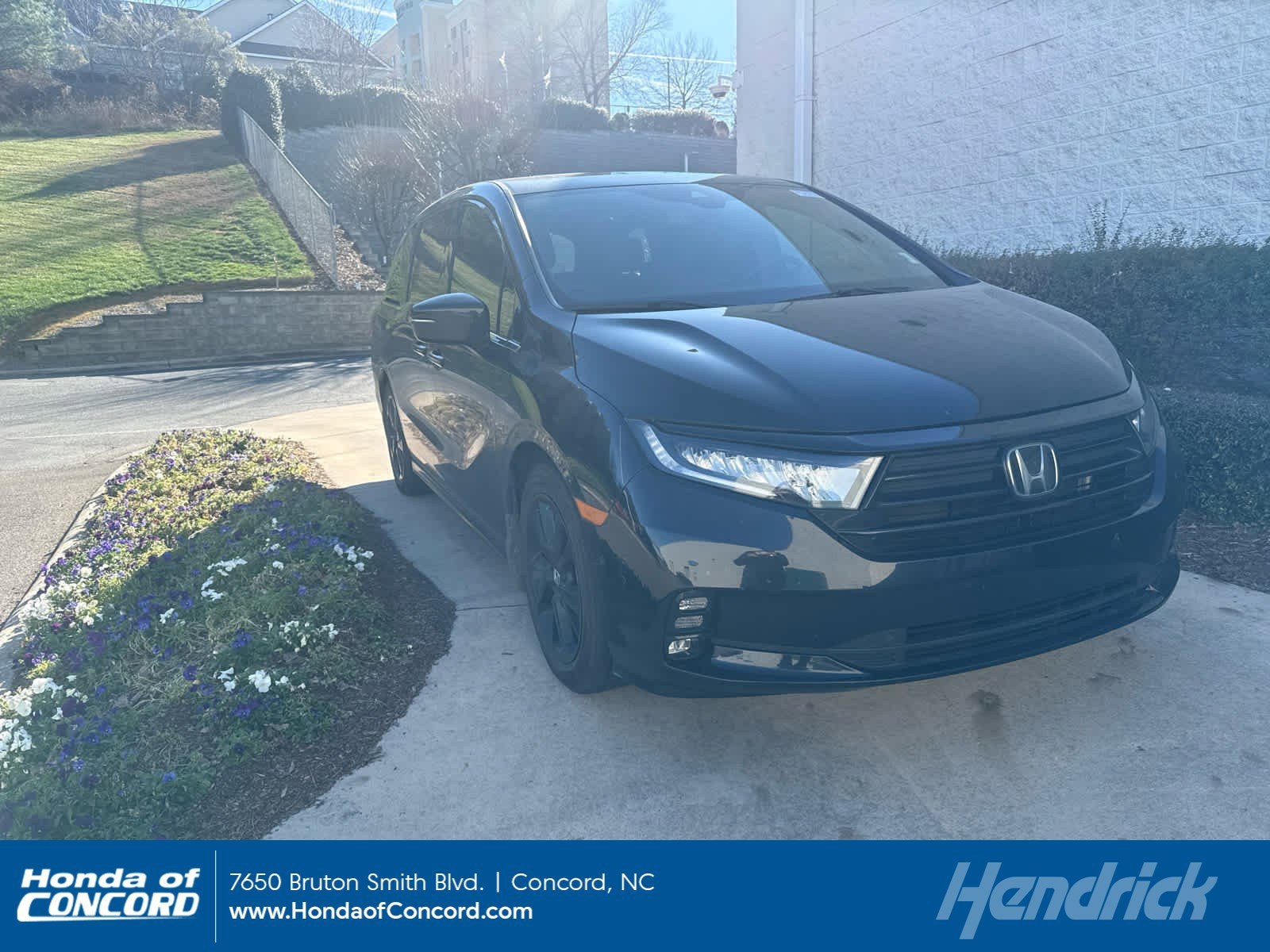 2023 Honda Odyssey SPORT's photo