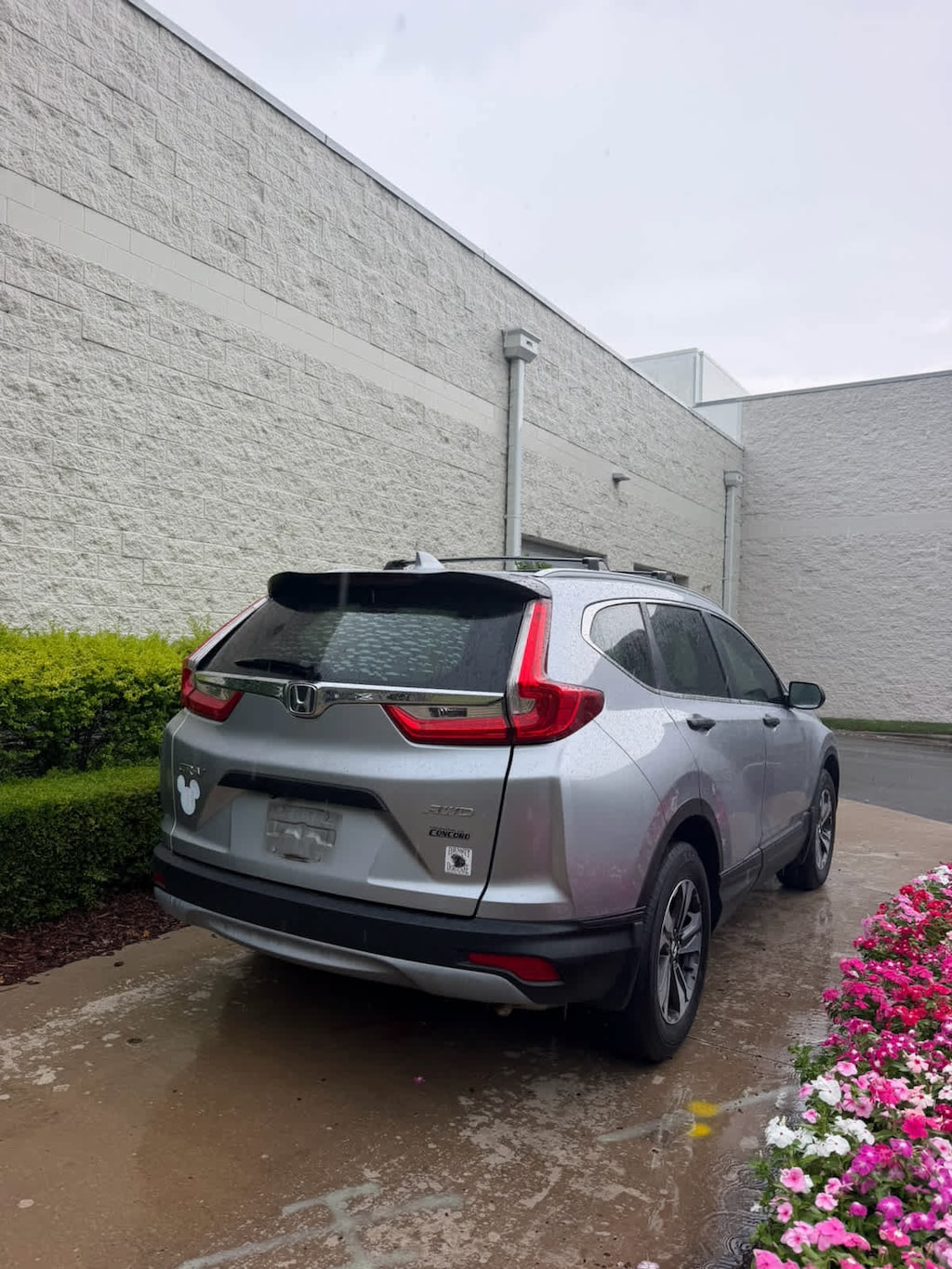 Used 2019 Honda CR-V LX SUV