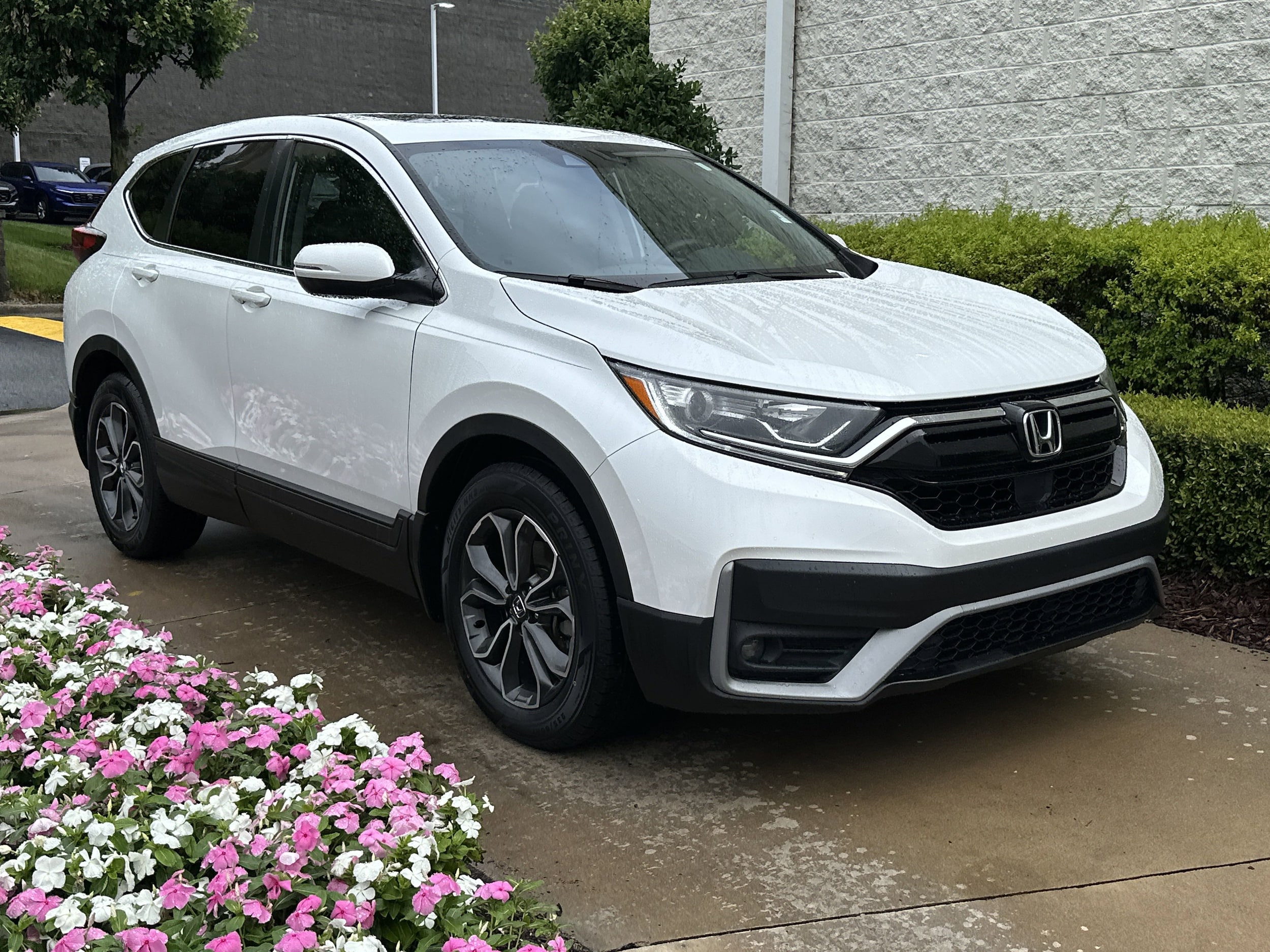 Used 2020 Honda CR-V EX-L with VIN 7FARW1H80LE030387 for sale in Greenville, NC
