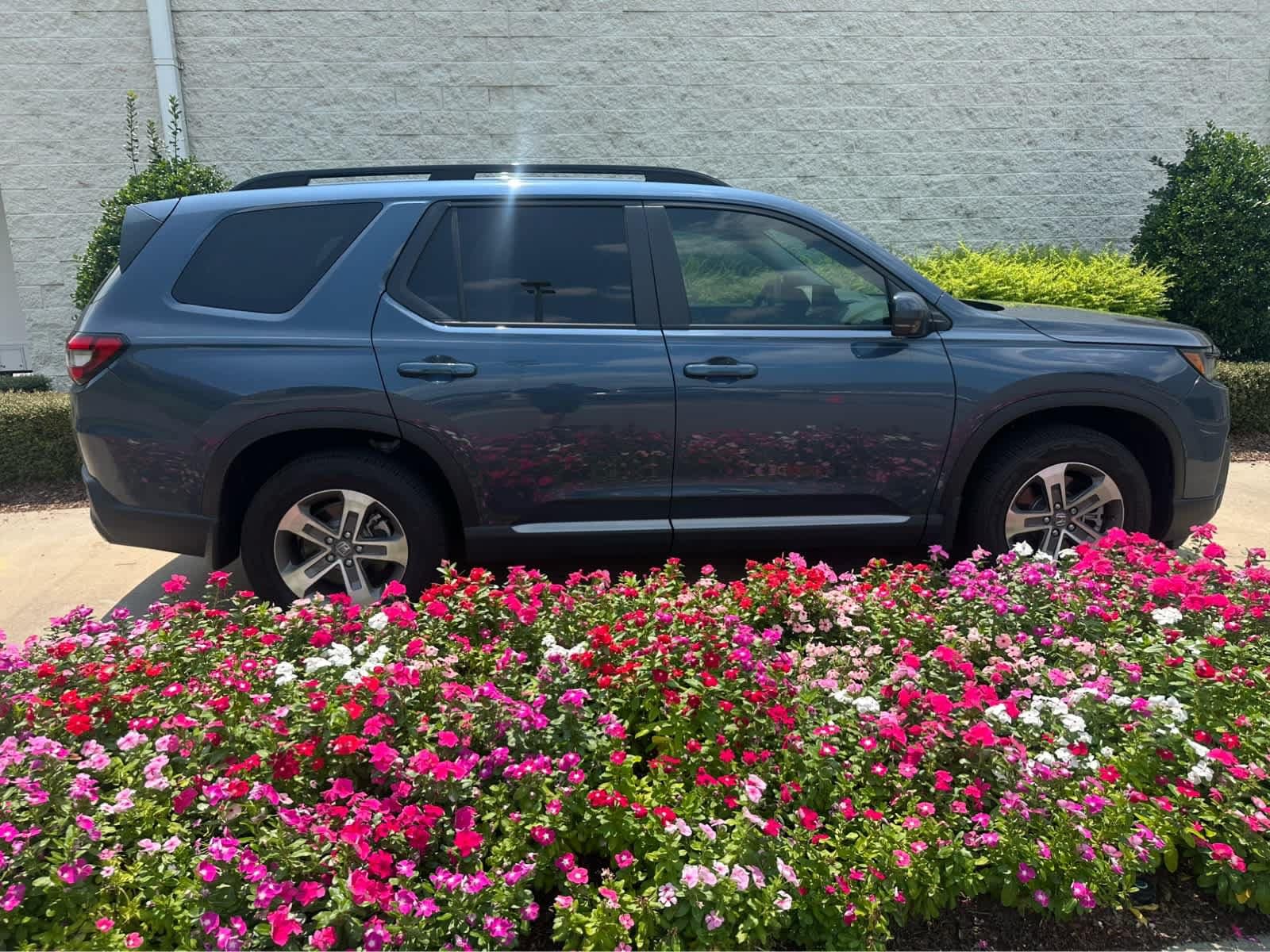 Honda Pilot EX-L