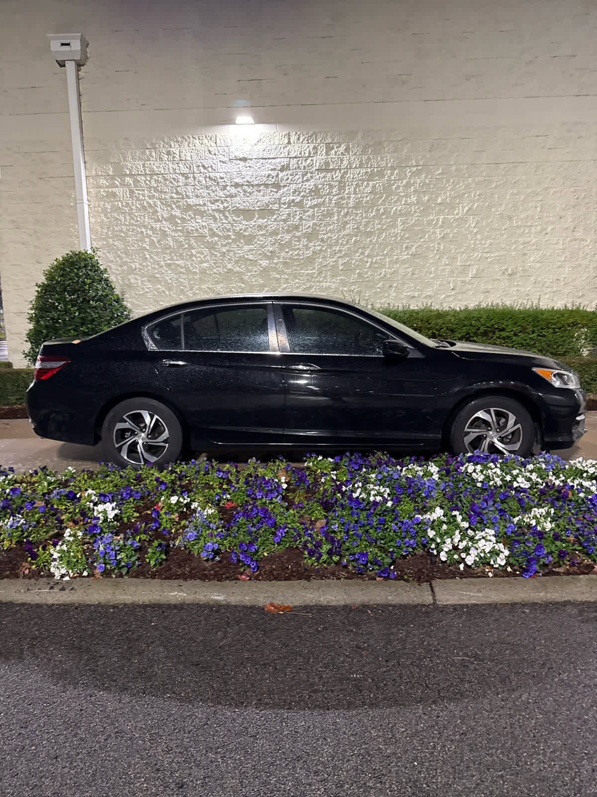 2016 Honda Accord LX photo 3