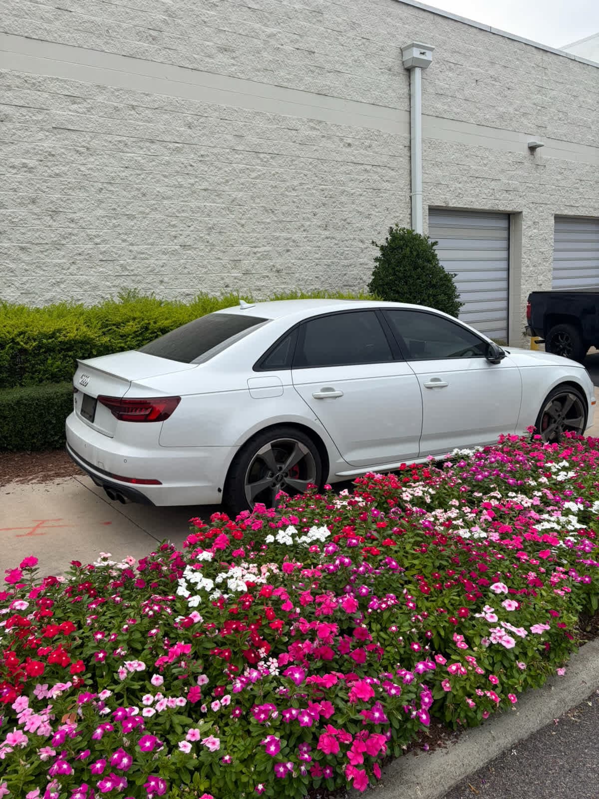 Audi S4 Premium Plus