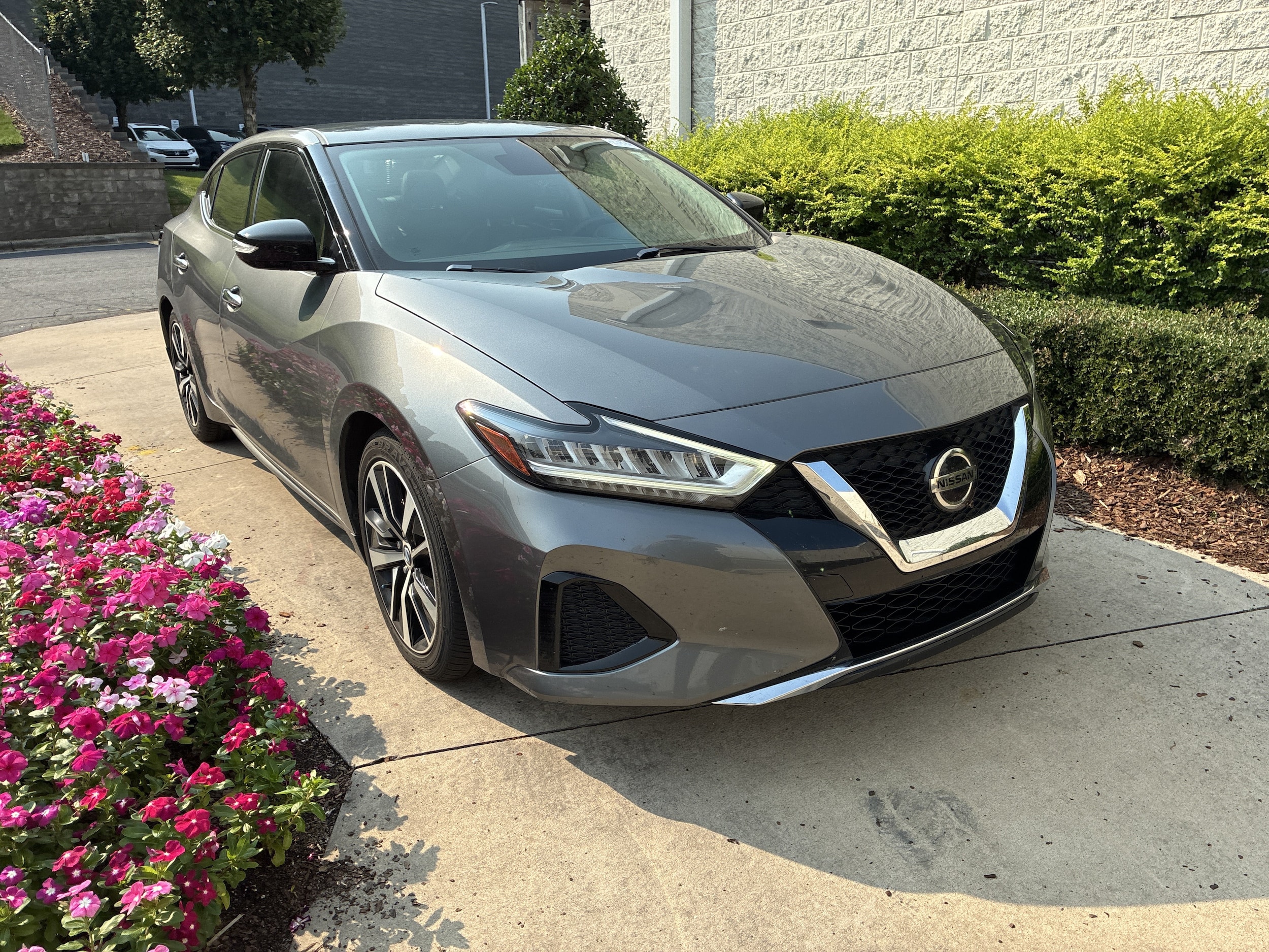 Nissan Maxima SV