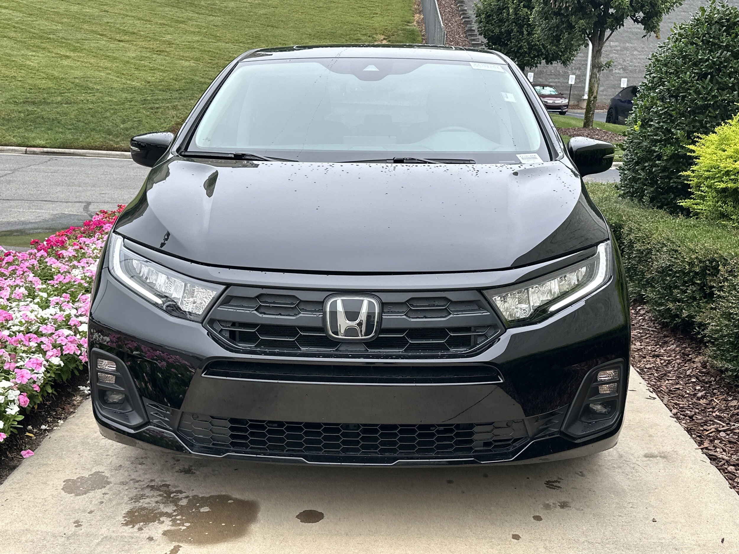 2025 Honda Odyssey EX-L photo 3